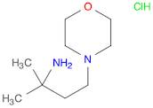 2-methyl-4-(morpholin-4-yl)butan-2-amine dihydrochloride