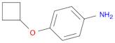 4-CYCLOBUTOXYANILINE