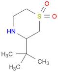 3-tert-butyl-1λ6-thiomorpholine-1,1-dione