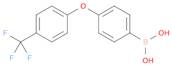 {4-[4-(trifluoromethyl)phenoxy]phenyl}boronic acid