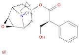 3-Oxa-9-azoniatricyclo[3.3.1.02,4]nonane,9-(cyclopropylmethyl)-7-[(2S)-3-hydroxy-1-oxo-2-phenylpro…