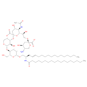 Ganglioside GT1b