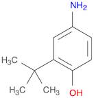 4-amino-2-tert-butylphenol