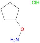 O-CYCLOPENTYLHYDROXYLAMINE