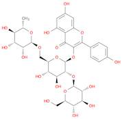 Kaempferol-3-O-(2"-O-β-D-glucopyl)-β-D-rutinoside