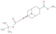 METHYL 9-BOC-7-OXO-9-AZABICYCLO[3.3.1]NONANE-3-CARBOXYLATE