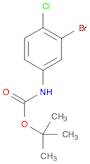 TERT-BUTYL 3-BROMO-4-CHLOROPHENYLCARBAMATE