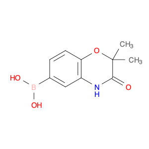 2,2-Dimethyl-3-oxo-3,4-dihydro-2H-benzo[b][1,4]oxazine-6-boronicAcid