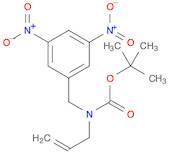 tert-butyl allyl(3,5-dinitrobenzyl)carbamate