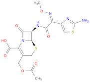 Cefotaxime