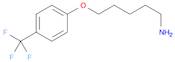 5-(4-(trifluoromethyl)phenoxy)pentan-1-amine