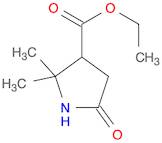 ethyl 2,2-dimethyl-5-oxopyrrolidine-3-carboxylate