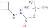 N'-CYCLOBUTYL-HYDRAZINECARBOXYLIC ACID TERT-BUTYL ESTER