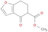 methyl 4-oxo-6,7-dihydro-5H-1-benzofuran-5-carboxylate