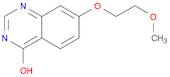 7-(2-Methoxyethoxy)Quinazolin-4(1H)-One