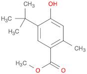 methyl 5-(tert-butyl)-4-hydroxy-2-methylbenzoate