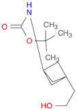 Tert-Butyl (3-(2-Hydroxyethyl)Bicyclo[1.1.1]Pentan-1-Yl)Carbamate