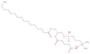 3,5,9-Trioxa-4-phosphapentacosan-1-aminium,7-(4-carboxy-1-oxobutoxy)-4-hydroxy-N,N,N-trimethyl-10-…