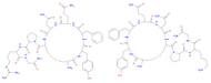 Vasopressin