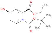 RAcemic-(1S,3S,4S,5R)-2-Tert-Butyl 3-Ethyl 5-Hydroxy-2-Azabicyclo[2.2.2]Octane-2,3-Dicarboxylate