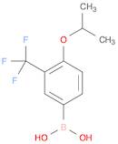 [4-propan-2-yloxy-3-(trifluoromethyl)phenyl]boronic acid