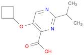 5-cyclobutoxy-2-(propan-2-yl)pyrimidine-4-carboxylic acid