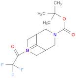 tert-butyl 9-oxo-7-(2,2,2-trifluoroacetyl)-3,7-diaza-bicyclo[3.3.1]nonane-3-carboxylate