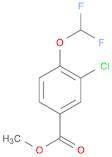 3-Chloro-4-(difluoromethoxy)benzoic Acid Methyl Ester