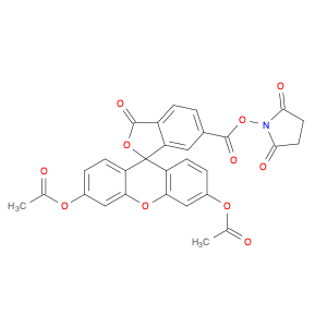 6-Carboxyfluorescein3’,6’-DiacetateN-SuccinimidylEster