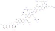 Autocamtide-2-Related Inhibitory Peptide