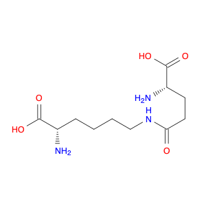 ε-(γ-L-Glutamyl)lysine