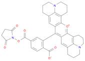 6-Carboxy-X-rhodamineN-succinimidylester