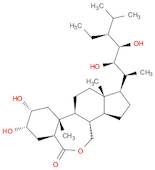 (22R,23R)-28-HomoBrassinolide