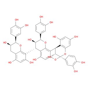 CINNAMTANNIN B1