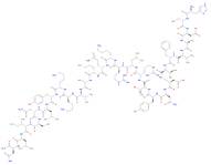 VIP (human, mouse, rat) acetate salt H-His-Ser-Asp-Ala-Val-Phe-Thr-Asp-Asn-Tyr-Thr-Arg-Leu-Arg-Lys…