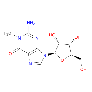 N1-Methylguanosine