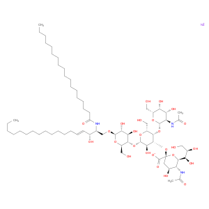 GM2-Ganglioside