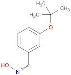 (E)-3-(Tert-Butoxy)Benzaldehyde Oxime