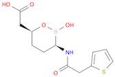 Vaborbactam