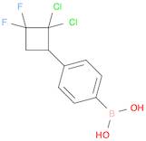 4-(2,2-Dichloro-3,3-difluorocyclobutyl)phenylboronic acid