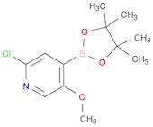 2-Chloro-5-methoxypyridine-4-boronic acid pinacol ester