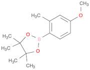 4-Methoxy-2-methylphenylboronic acid pinacol ester