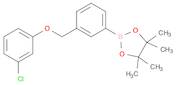 3-(3-Chlorophenoxymethyl)phenylboronic acid pinacol ester