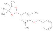 4-(Benzyloxy)-3,5-dimethylphenylboronic acid, pinacol ester