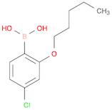 4-Chloro-2-(pentyloxy)phenylboronic acid