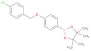 1,3,2-Dioxaborolane, 2-[4-[(4-chlorophenyl)methoxy]phenyl]-4,4,5,5-tetramethyl-