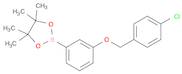 1,3,2-Dioxaborolane, 2-[3-[(4-chlorophenyl)methoxy]phenyl]-4,4,5,5-tetramethyl-