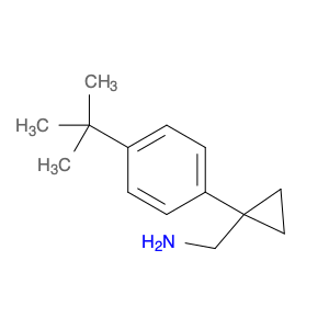 [1-(4-TERT-BUTYLPHENYL)CYCLOPROPYL]METHANAMINE