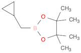 2-(cyclopropylmethyl)-4,4,5,5-tetramethyl-1,3,2-dioxaborolane