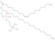 1-O-Hexadecyl-2-oleoyl-sn-glycero-3-phosphocholine